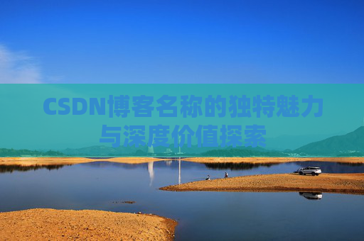 CSDN博客名称的独特魅力与深度价值探索